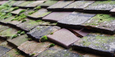 Birstall roof repair costs
